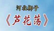 河北梆子《芦花荡》片段