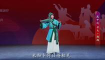 高甲戏比赛专场全场视频在线看