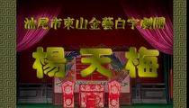 白字戏杨天梅高清修复10部
