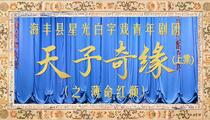 白字戏蓝光版《天子奇缘》全集