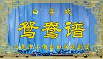 白字戏《鸳鸯谱》经典戏曲剧目