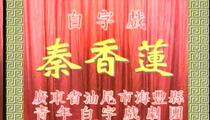白字戏《秦香莲》全集