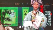 白字戏《珍珠记》第五场 辩书拼父