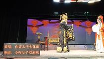 芗剧《深宫怨》全场 杨跃宗