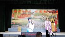 芗剧《龙凤双娇》第3集 曾小真