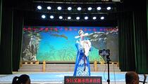 芗剧《巾帼英雄陈璧娘》3