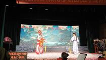 芗剧《五子挂帅》全场大戏 杨跃宗