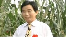 民间小调《上错花轿嫁对郎》 薄战士 方雪艳 陈良福 王艺欢