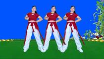 广场舞《岁月如笔写春秋》附教学
