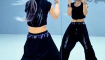 戏曲站在高岗上完整版及分解教程下载
