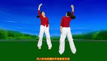 广场舞《月光洒满草原》正背面教学