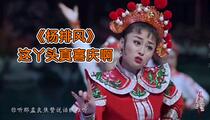 二人转《杨排风》单出头