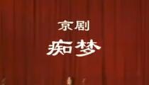 京剧《痴梦》 孙毓敏