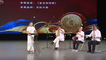 京韵大鼓《宝玉探晴雯》 冯润秋