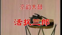 京韵大鼓《活捉三郎》 杨凤杰