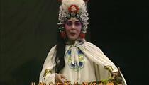河南曲剧《祭塔》选段 张新芳 刘爱云