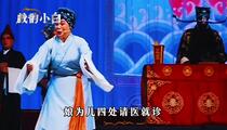 河南曲剧《钓金龟》片段 田香莲