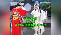 河南曲剧《祭塔》选段
