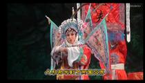 汝南卷戏《对金刀》片段