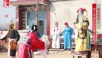 濮阳六种稀有剧种非遗戏曲合集