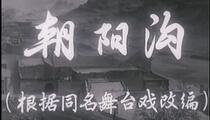河南梆子《朝阳沟》全场