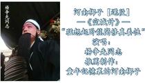 河南梆子《空城计》选段 杨先争