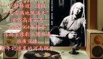 河南梆子《祥林嫂》选段 高洁