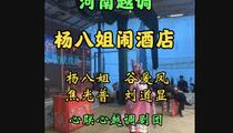 河南越调《杨八姐闹酒店》片段