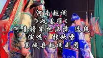 河南越调《收姜维》可喜将军把汉降 选段 张秋香