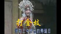 豫剧打金枝全剧刘忠河经典唱段