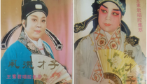 豫剧风流才子王素君唱腔集萃下载