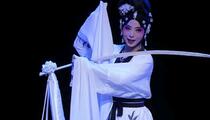 豫剧《阴阳河》全折 赵军