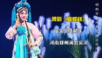 豫剧蝴蝶杯苗文华及弟子主演经典名剧