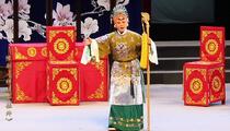 豫剧穆桂英挂帅谢彦巧主演全剧