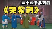 豫剧,曲剧,坠子《弟兄仨分家（哭紫荆）》 索文化