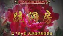 太康道情《跪洞房》全场 张海亮 张小花