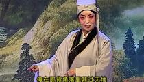 太康道情《王金豆借粮》 李艳玲