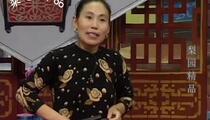 河南坠子《恶媳妇打婆婆》 胡银花