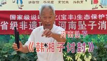 河南坠子《韩湘子讨封》