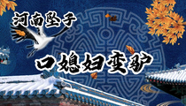 河南坠子《口媳妇变驴》 范翠霞