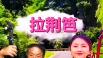 河南坠子《拉荆笆》 赵百坤
