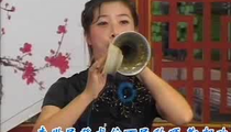 老影碟四姐妹唢呐戏中原张大华独奏专辑
