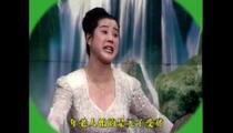 河南大调曲《小寡妇上坟》 夏金亭 曹桂英