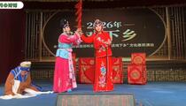 河北梆子《同根异果》全剧 张金良 王好兰