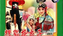 河北梆子狸猫换太子6部全场