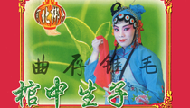 河北梆子棺中生子全剧 魏春蕊等演绎