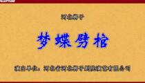 河北梆子《梦蝶劈棺》 赵旋 丁云飞