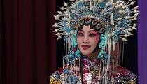 河北梆子秦英征西全剧王洪玲主演