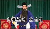 河北梆子赵派张兰霞经典唱段赏析合集