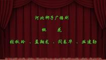 河北梆子《桃花》广播剧 张秋玲 孟翔龙